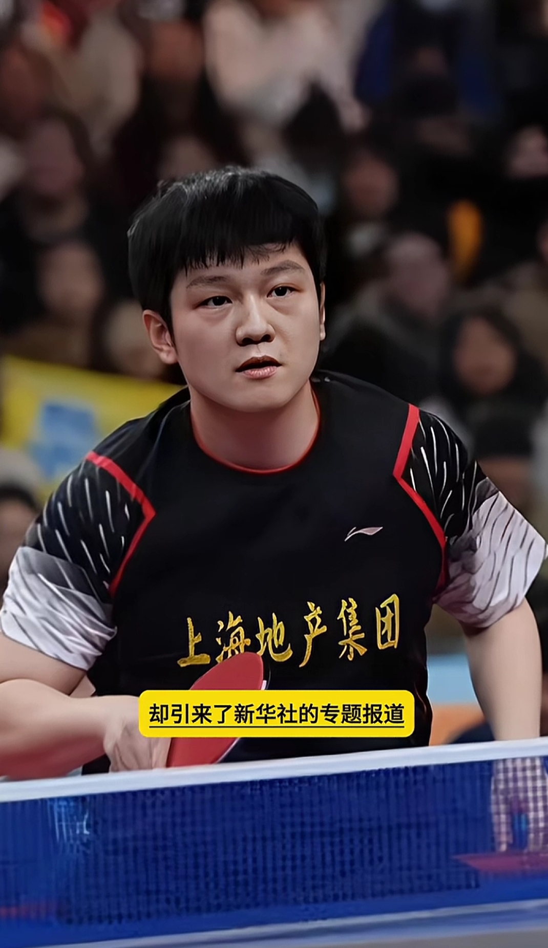 关于德国乒乓球队绝杀日本乒乓球队,樊振东高光表现的信息 关于德国乒乓球队绝杀日本乒乓球队,樊振东高光表现的信息